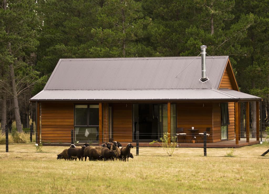 Woodbank Park Cottages Hanmer Springs Bilik gambar